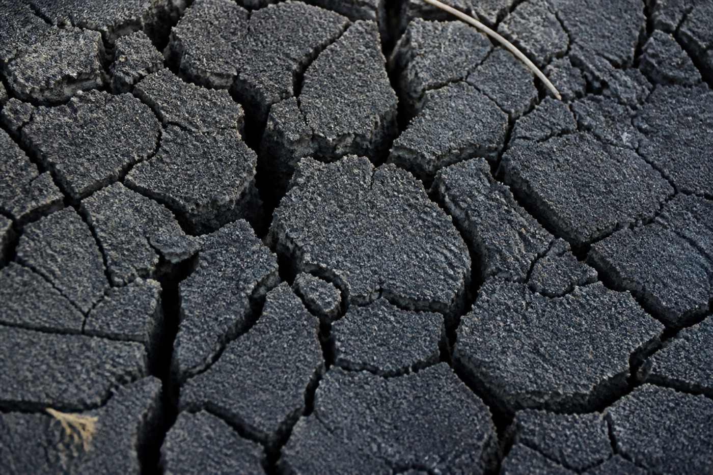 Close-up of dry, cracked clay soil in Texas — Blackland Prairie expansive soil that swells and shrinks with moisture